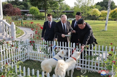  изображение к пост №12159 4