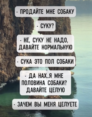  изображение к пост №12174 1
