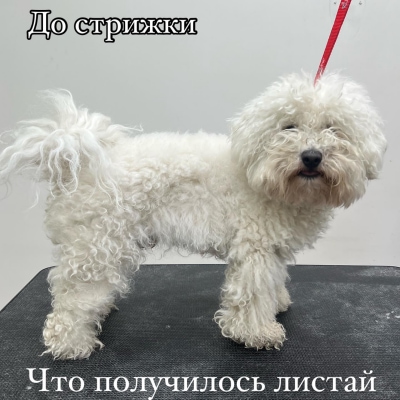  изображение к пост №12205 1