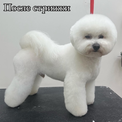  изображение к пост №12205 2