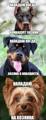  изображение к пост №12424 1