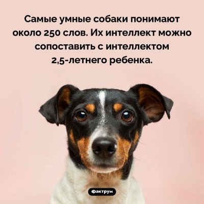  изображение к пост №12490 1