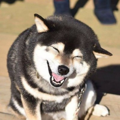 изображение к пост №12578 1