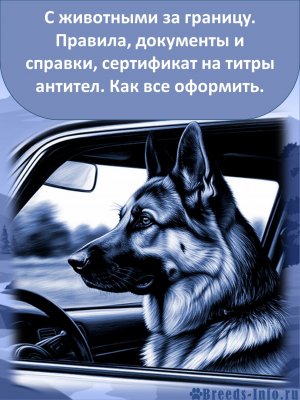  изображение к пост №12614 1