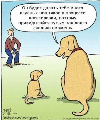  изображение к пост №12625 1
