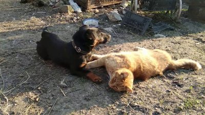  изображение к пост №12626 2