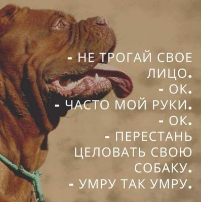  изображение к пост №12627 2