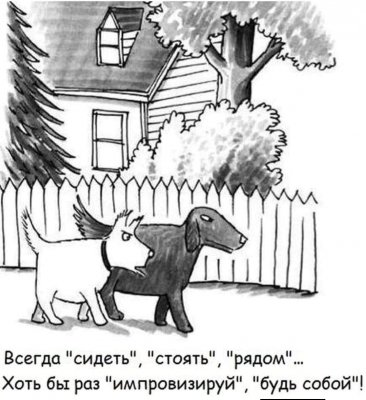  изображение к пост №12650 1
