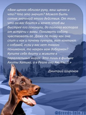  изображение к пост №12688 1