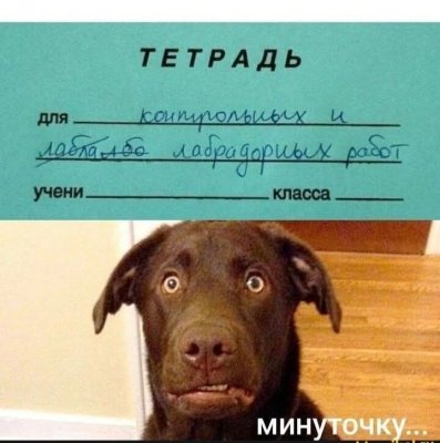  изображение к пост №13836 1