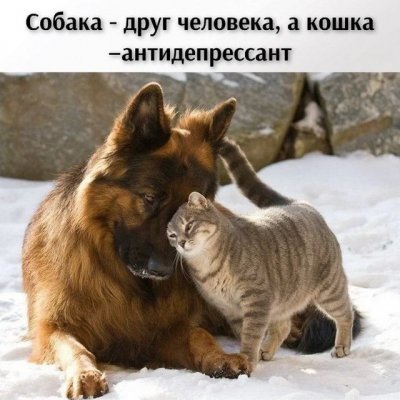 изображение к пост №13882 1