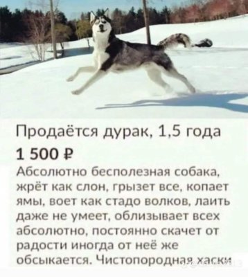  изображение к пост №13896 1