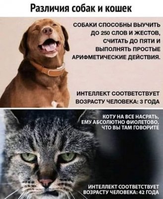  изображение к пост №13898 1