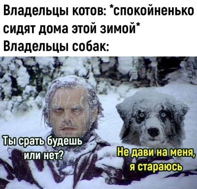  изображение к пост №13899 1