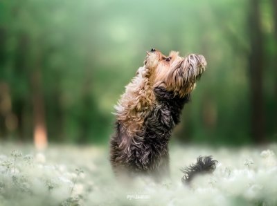  изображение к пост №13957 1