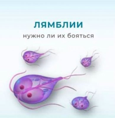  изображение к пост №14007 1