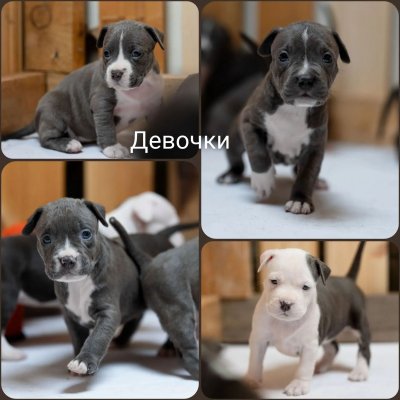фото 3