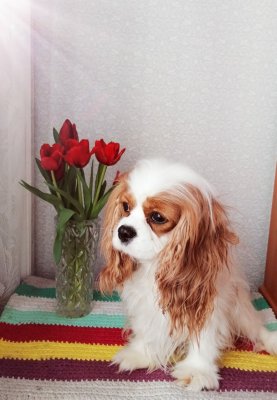 фото 4