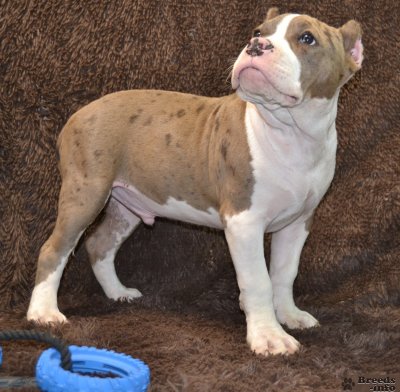 фото 3