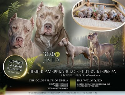 фото Рожденын привлекать взгляды 