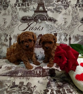 фото 3