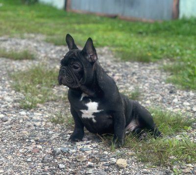 фото 3
